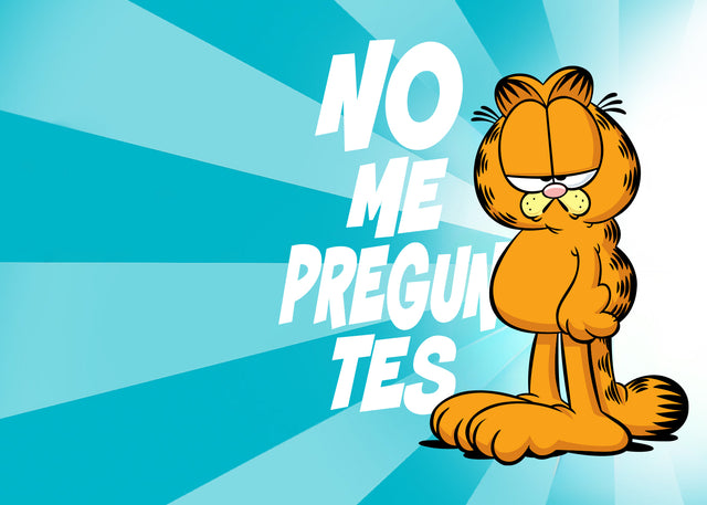 Garfield No Me Preguntes