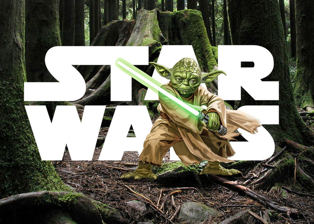 Yoda Maestro de la Fuerza