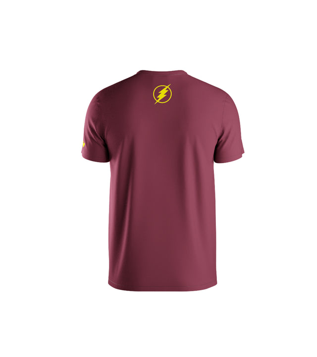Flash Logo 3D