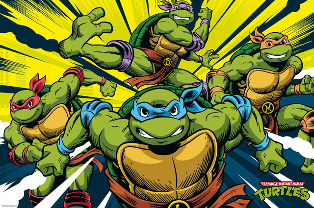 Ninja Turtle Vintage